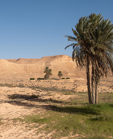 Valeurs engagement 2