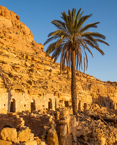 Notre ADN-La pérénité