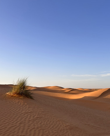 Valeurs engagement (1)